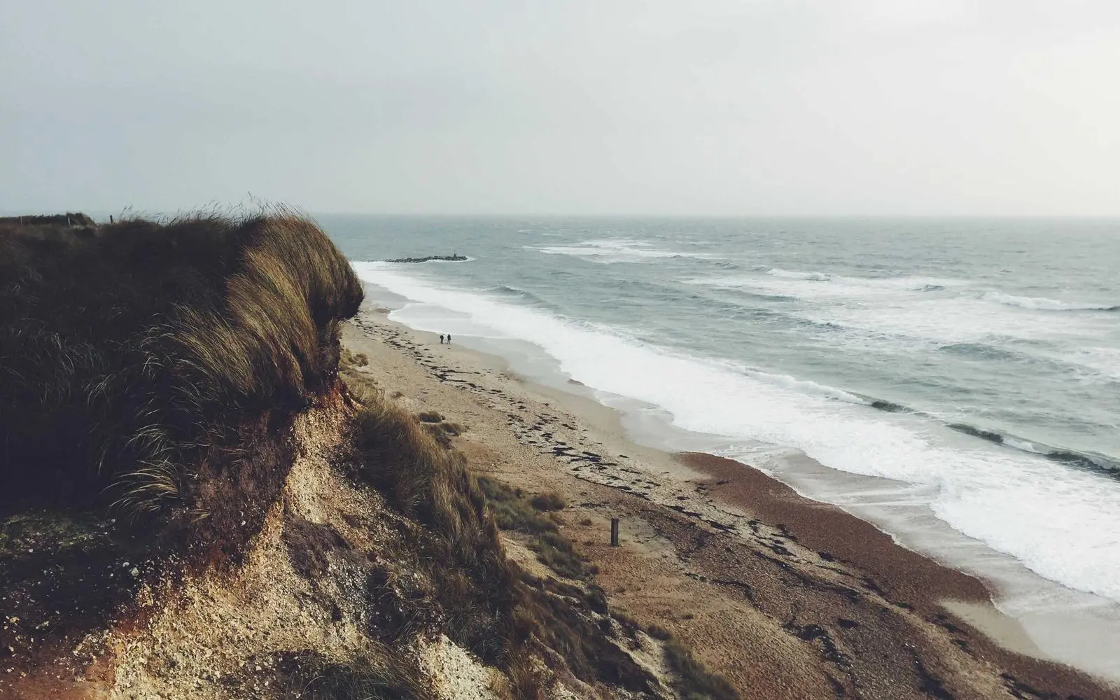 A person using a phone for a wellness check-in